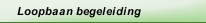 Loopbaan begeleiding