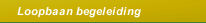 Loopbaan begeleiding